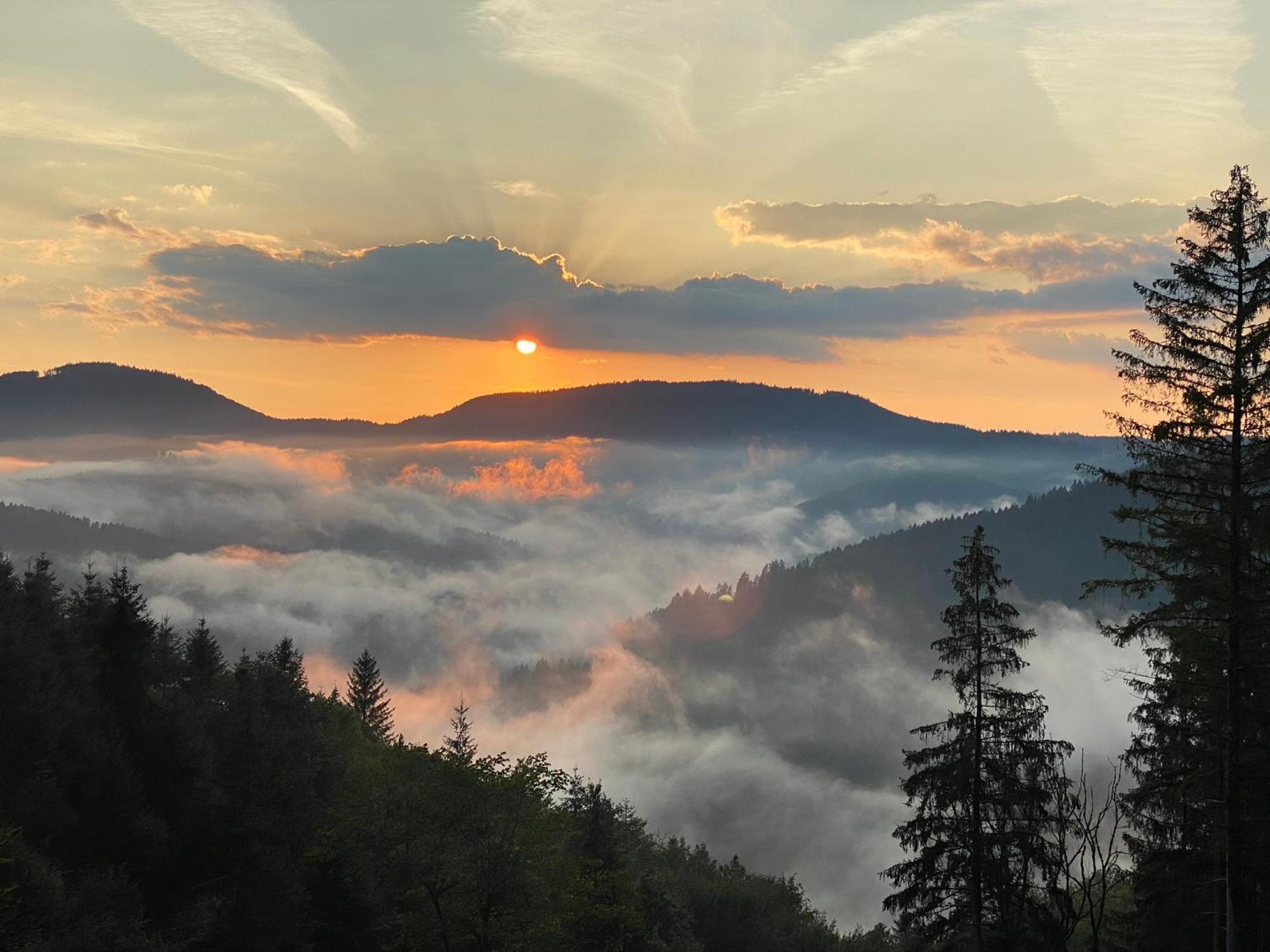 Landeckhof Villa Oberwolfach Buitenkant foto